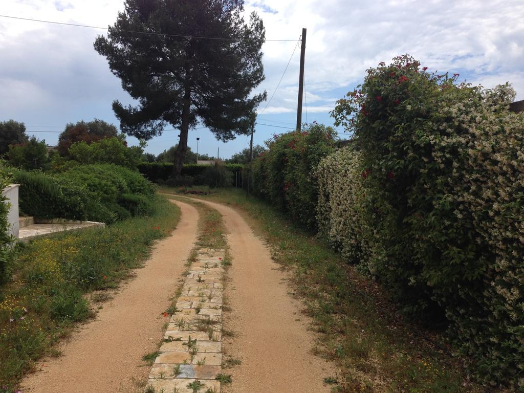 Mazzara Farm Bed and Breakfast Manduria Εξωτερικό φωτογραφία